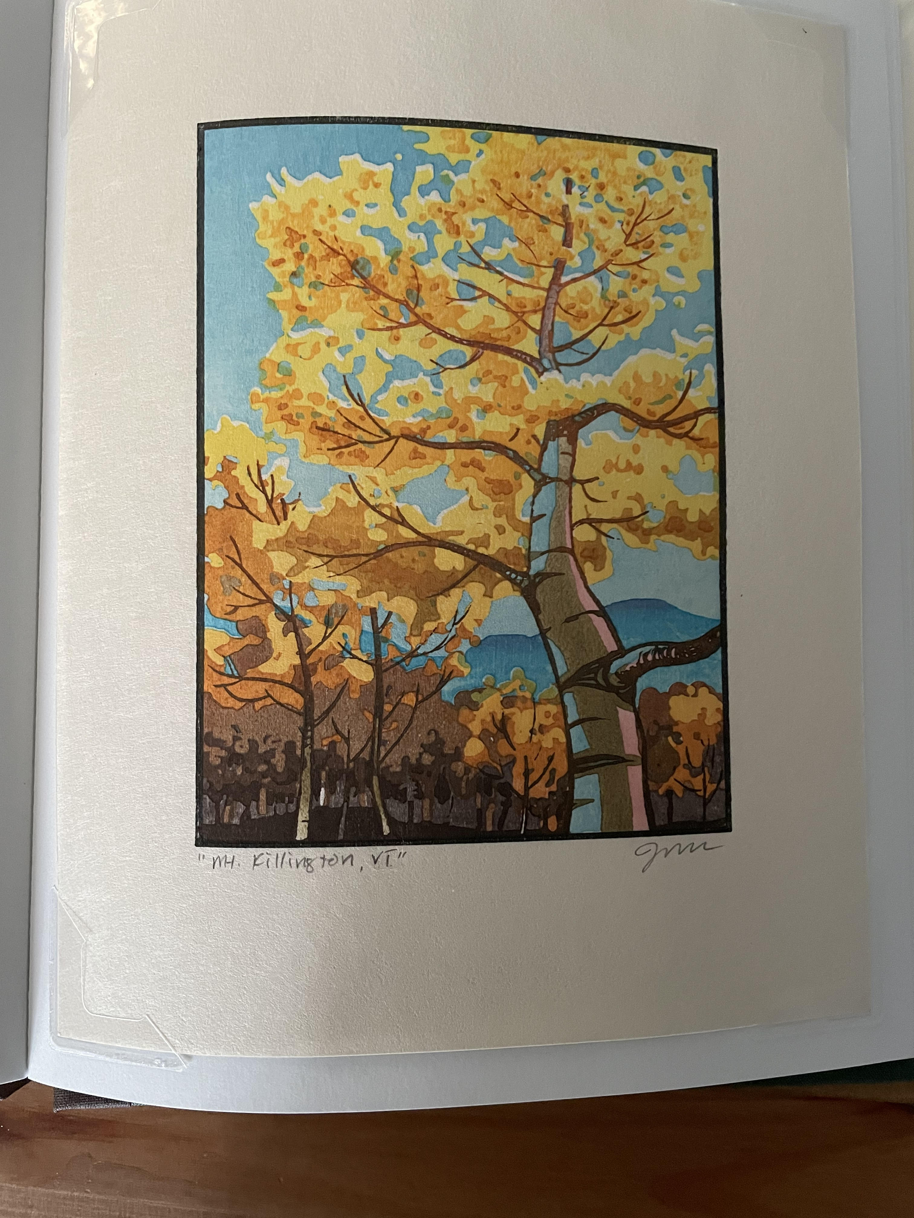 Vermont: Trail to Killington Peak